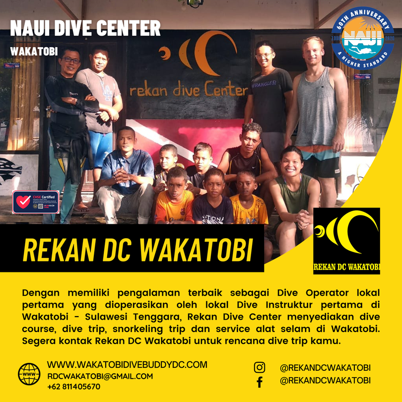 naui_id's tweet photo. Kamu lg di Wakatobi dan sedang cari Dive Center utk belajar diving? Kepingin belajar diving dgn Instruktur Selam yg berpengalaman &amp; mumpuni? Samperin IGnya @rekandcwakatobi aja. Ada Instruktur Udin disitu yg siap utk membawa kamu berpetualang di bawah laut di Wakatobi! 

#NAUI https://t.co/a81KZyCx5C