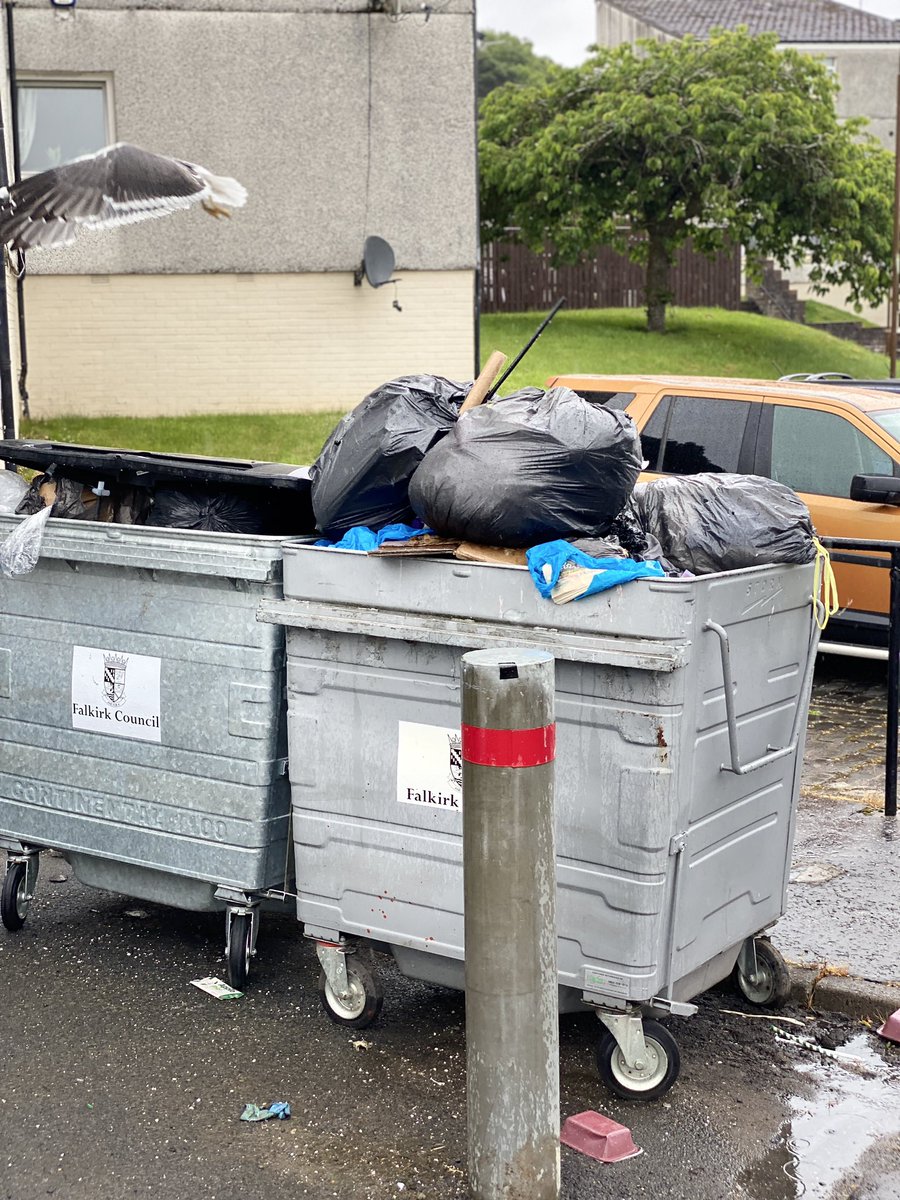 BakingBikerChic's tweet photo. @falkirkcouncil @WOMANALOUD @CecilMeiklejohn @falkirk_herald oh look the rubbish is piling higher and nice scratch down my car from the seagull and can’t even open the car door for all the bird 💩 https://t.co/gQ0p9Hqfzo