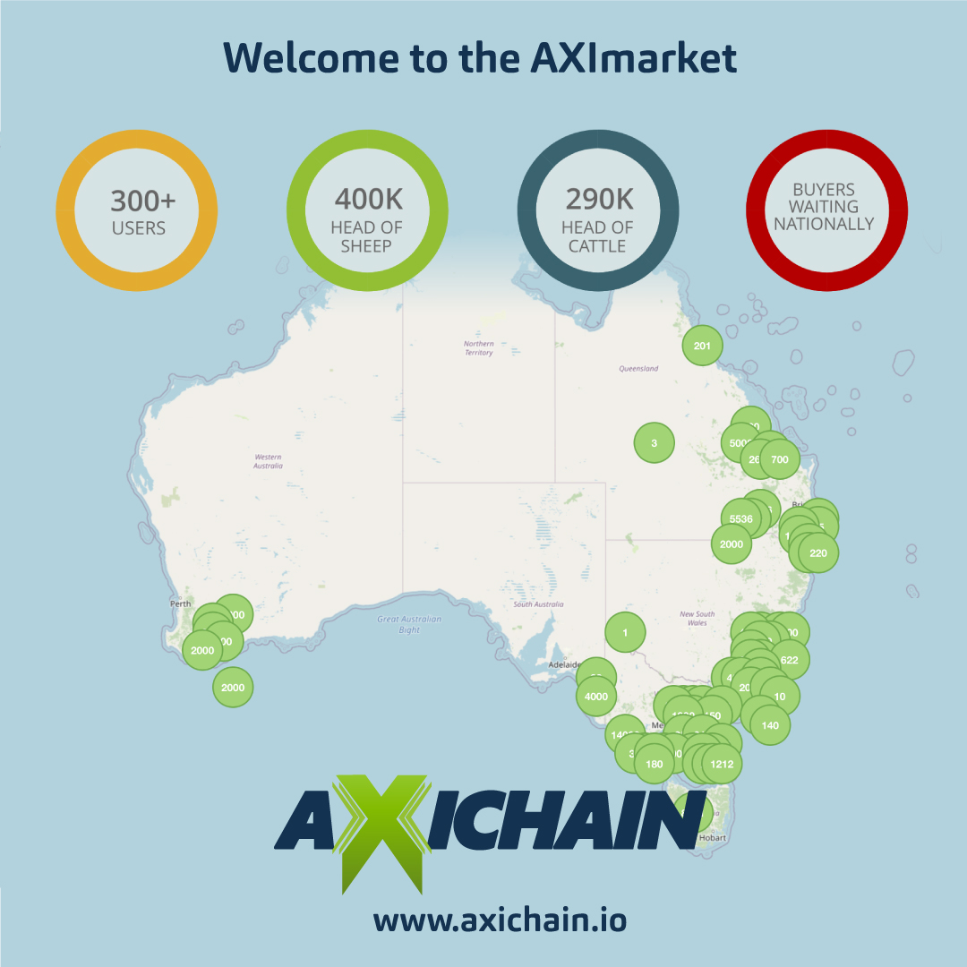 Welcome to the AXImarket, a marketplace where Producers like you can list your livestock for FREE.

View the sheep and cattle we have for sale on the AXImarket - axichain.io/market.html