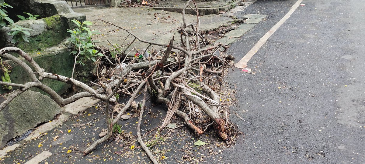 firozeshakir's tweet photo. Art Installation by #HWard #BMC
At #Kaneroad #Bandra
@mybmcWardHW https://t.co/g3uTukFacx