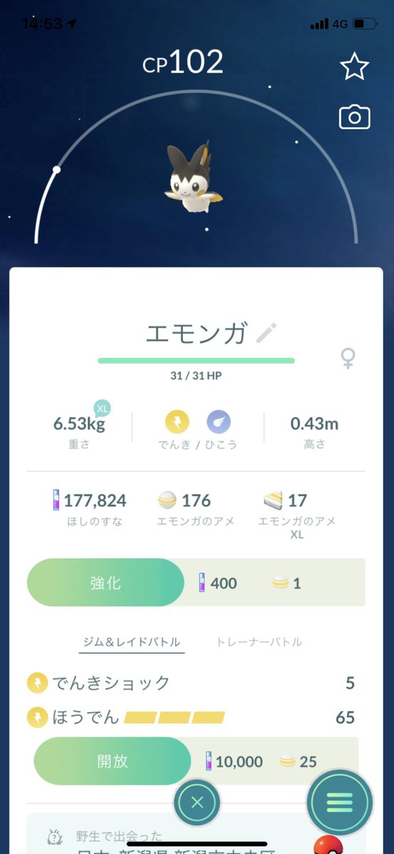 ポケモンgo エモンガの色違い 入手方法と実装状況 攻略大百科
