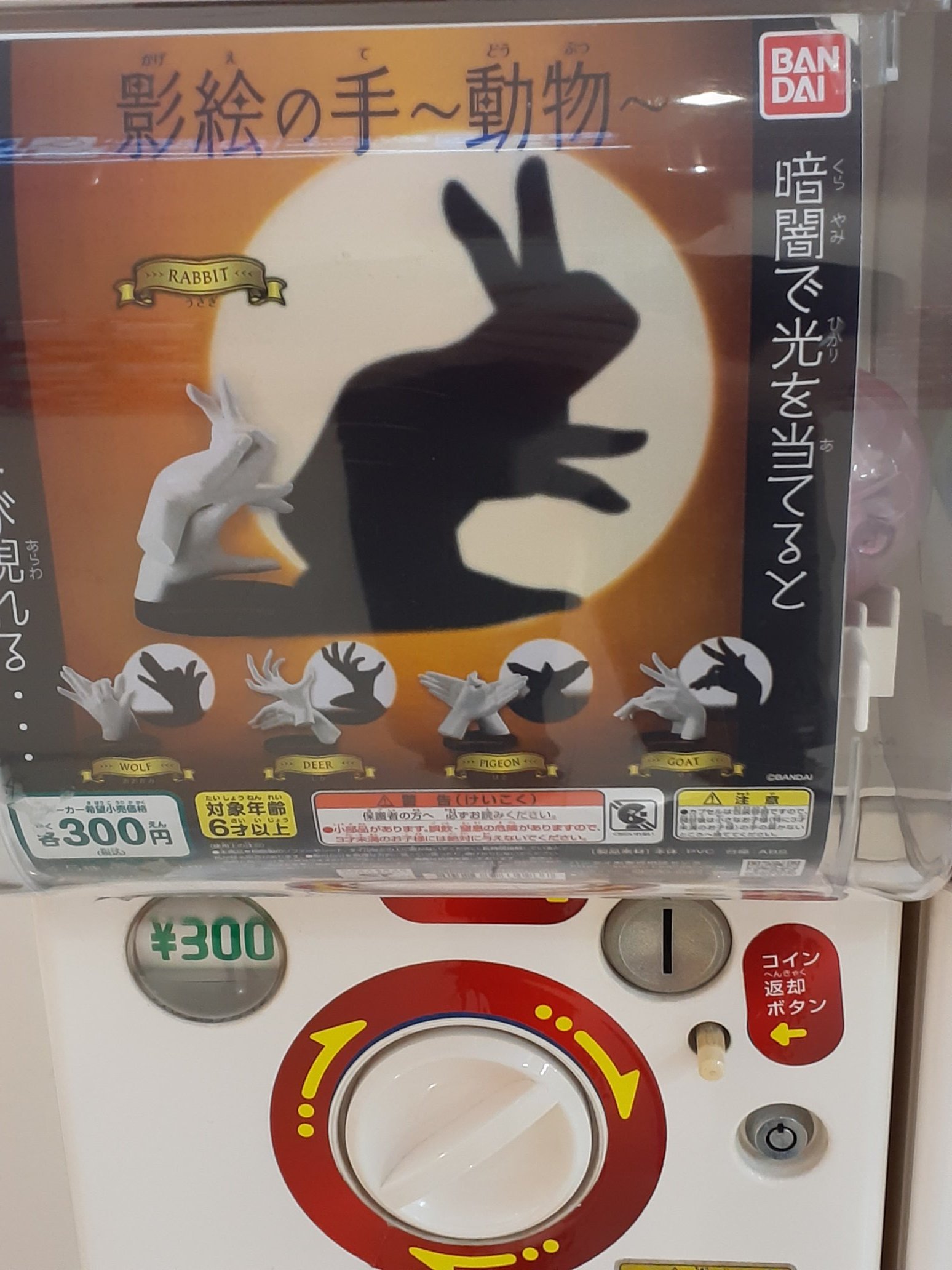 ガチャ王国ゆめタウンみゆき 新商品入荷しました 影絵の手 動物 影絵の手 バンダイ ガチャ王国 ゆめタウンみゆき ガチャ カプセルトイ 広島 T Co Htcetnmmqk Twitter