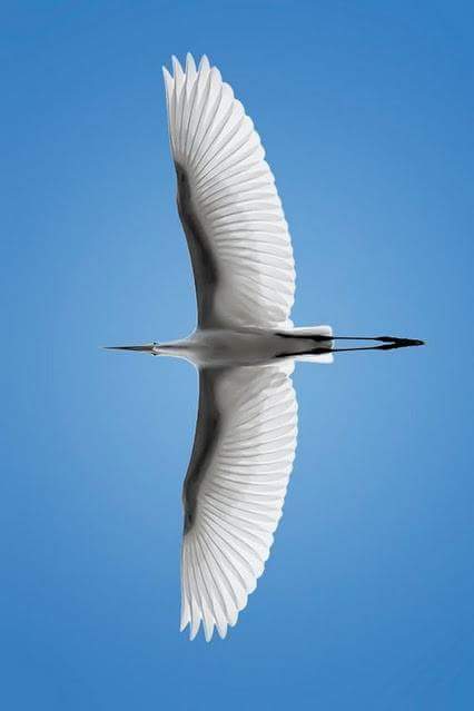 Biri yüksek teknoloji ürünü iken diğerleri kendi kendine oluyormuş. Yersen... 😏