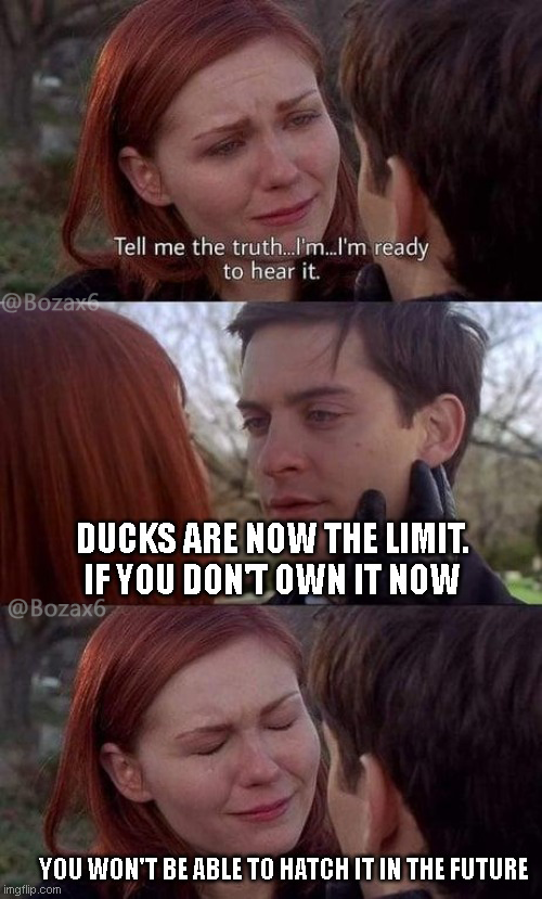 Bozax6's tweet photo. hurry up, buy some EGGs, and HATCH get your favorite DUCK before it can't hatch anymore 😉
#WavesDucks #NFT $WAVES #DeFi https://t.co/kw1bUY5TbU