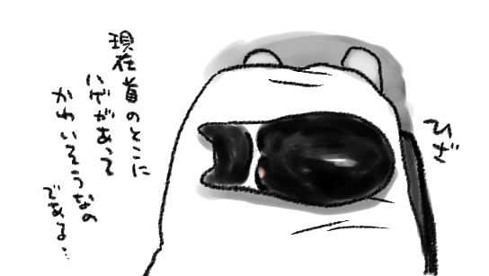ねこの健康診断の予約した お高いけどもこのために日々こつこつこつこつしごとしてるので実質無料 