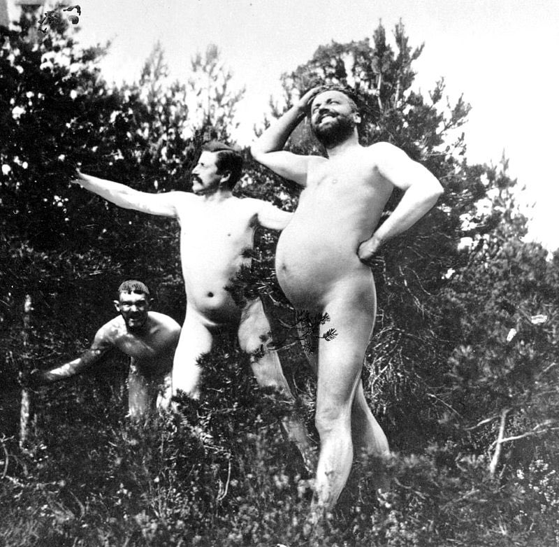 Krigshistoriep1's tweet image. Det spelar ingen roll hur mycket du tänker slå klackarna i taket i dag: ingen når någonsin Engström, Fröding och Heidenstam nakna på Sandhamn-nivå. Ljudet av denna karatefylla från 1896 hör vi än idag. #konstnärsfylla #midsommar #naked #makelovenotwar