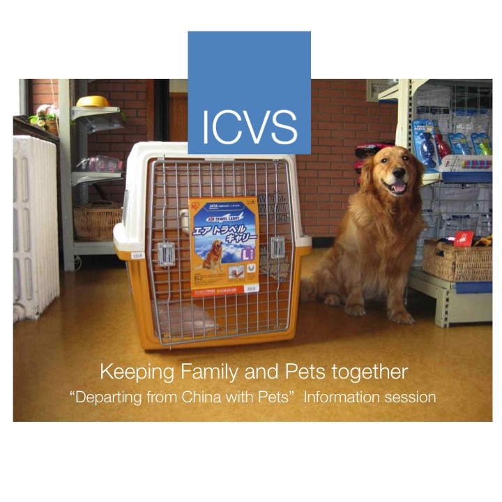 ICVS Animal Hospital tweet media