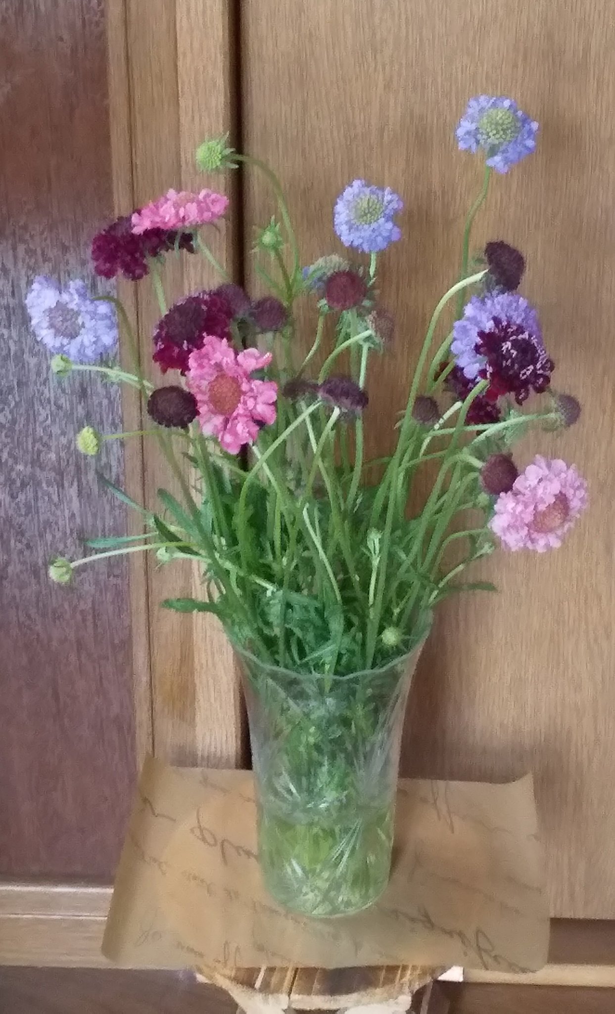 なごみすずめ 買い物途中で玄関に飾る花を買ってきました 矢車草 正式にはヤグルマギクというそうです 季節は進みますね T Co Yk65xx6lfx Twitter