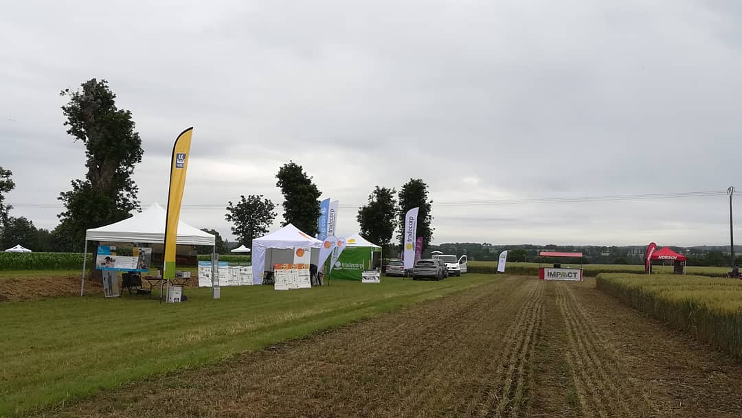 DEMEURE Solutions tweet media