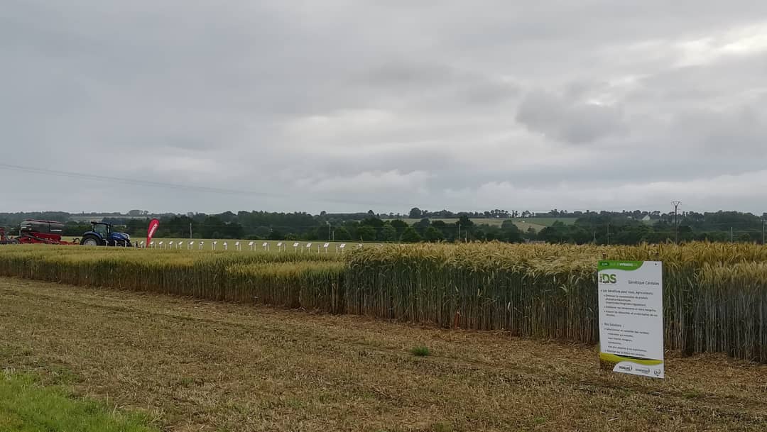 DEMEURE Solutions tweet media