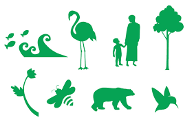 UNinSouthAfrica's tweet photo. #Biodiversity loss crisis is rapidly equaling #ClimateChange in its magnitude.
@antonioguterres said, “#Humanity is waging war on #NATURE - We need a healthy #PLANET to thrive.”
@UNEP #EbAinRSA #EbASymposiumSA #GenerationRestoration
#EcosystemsbAsedAdaptation https://t.co/MkHE3Kirb0