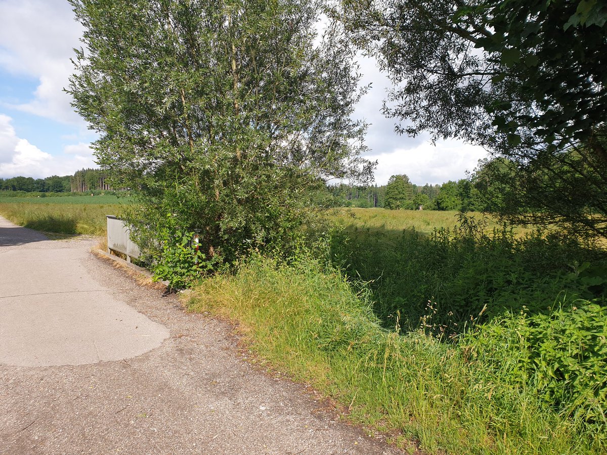 KEissfeldt's tweet photo. Ende der großen Radrunde durch den Wald bevor es gleich wieder heißt #LetsrockComplexity von und mit @PeynGitta 🤩 https://t.co/99RElN5bUa