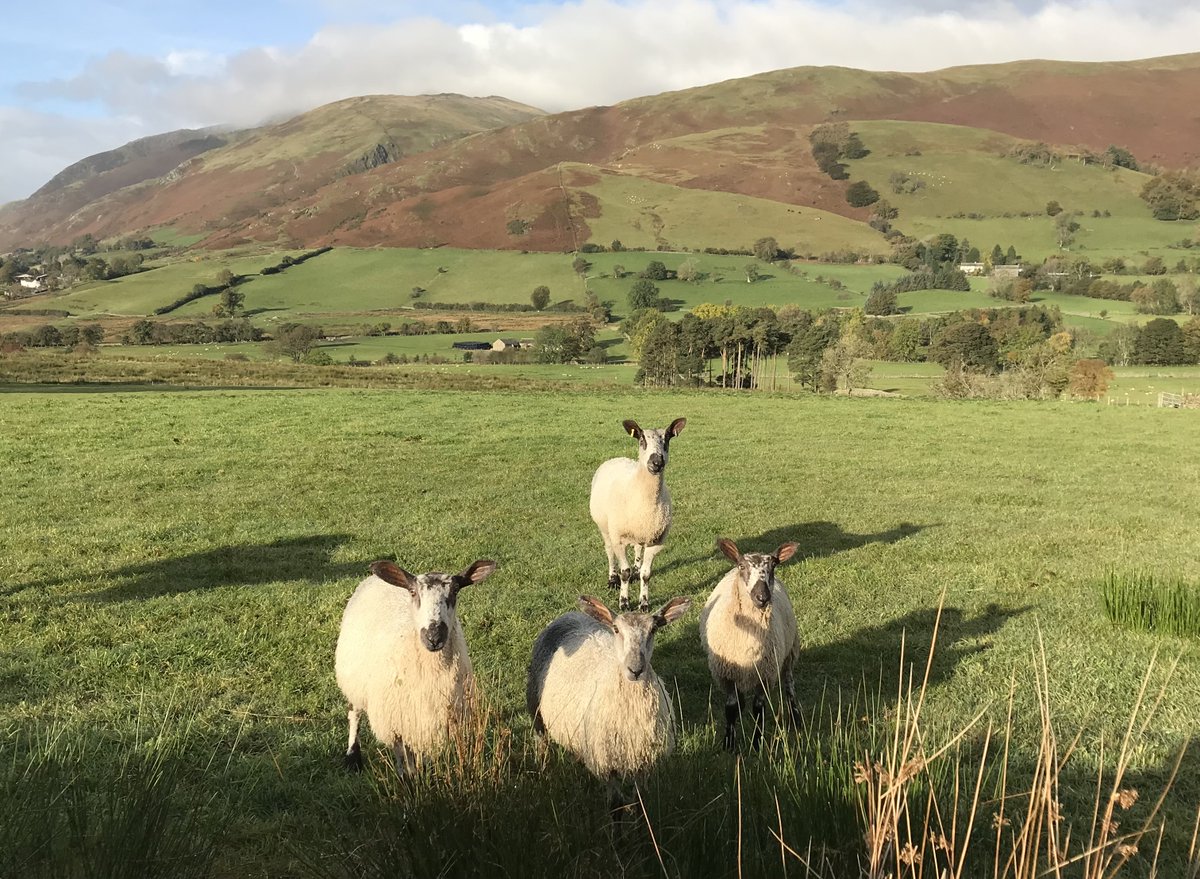 Lake District TG tweet media