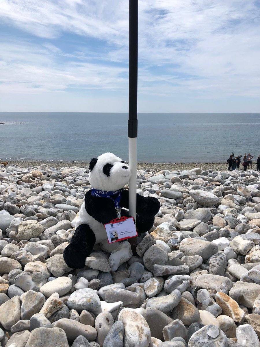 NES_HumandMFL's tweet photo. Archie Archway measuring beach transects on Monmouth Beach yesterday. Students are working hard collecting data for their NEA. https://t.co/mA2nslU5aZ