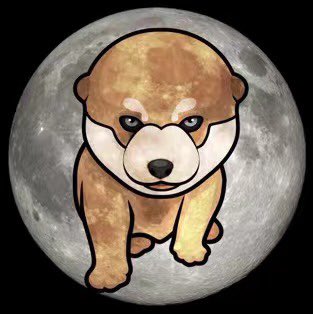 DogeJrCoin's tweet photo. The next big hit meme coin is born! The Doge Junior is a #shiba pup who fearlessly protects his mom #doge and fight against all bad guys in the world. Check out the story of Doge Jr and join us: https://t.co/Z8cWlNp3dd #crypto #eth #btc https://t.co/aWyrFXc8n4