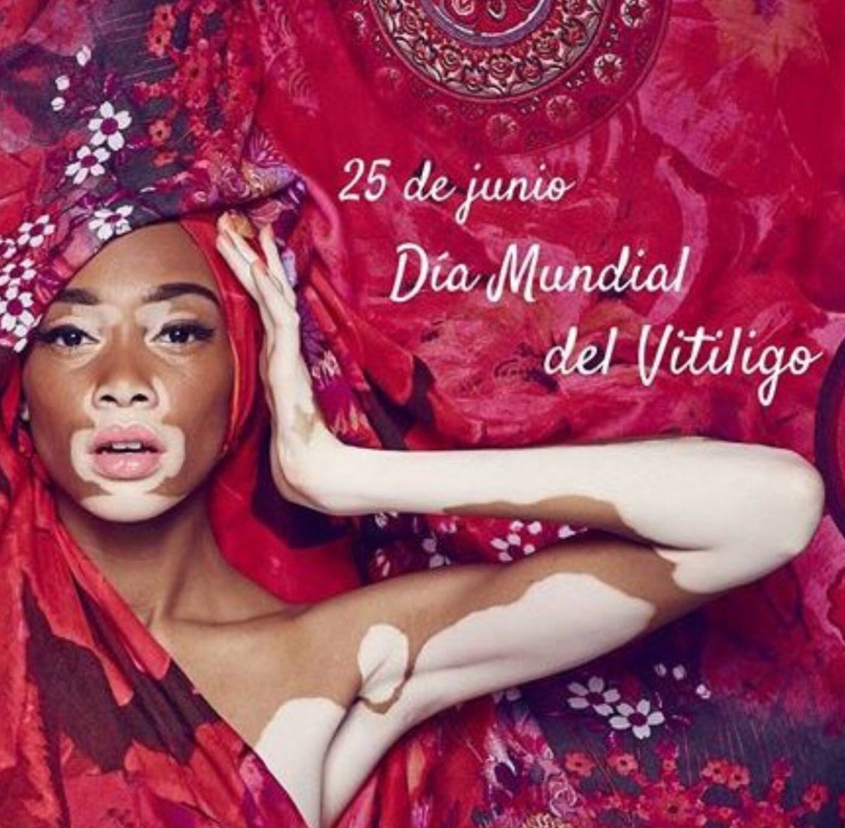 RarasNoInvisibles tweet media