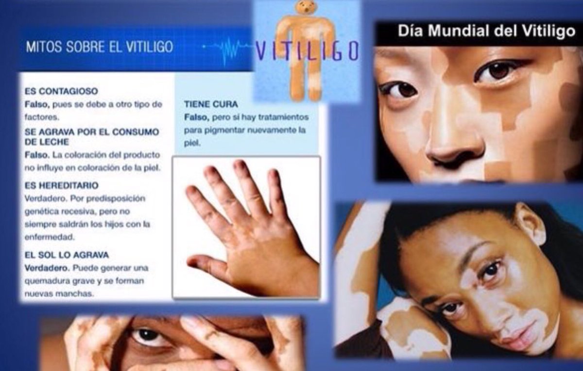 RarasNoInvisibles tweet media