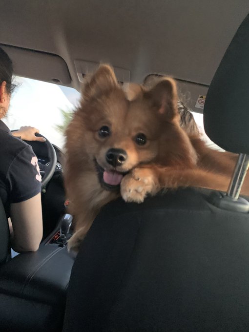 Feliz primer a&ntilde;o amorcito 🤍, amo ser tu mam&aacute; ✨ https://t.co/j1TFJGOSUj