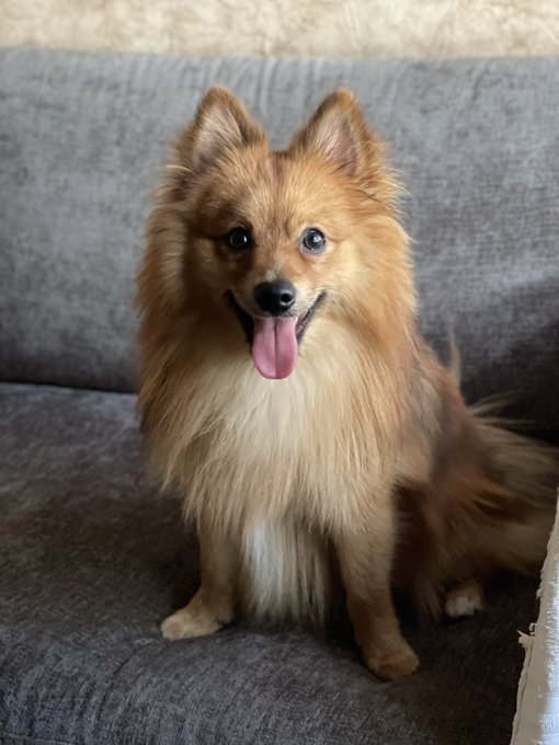 Feliz primer a&ntilde;o amorcito 🤍, amo ser tu mam&aacute; ✨ https://t.co/j1TFJGOSUj