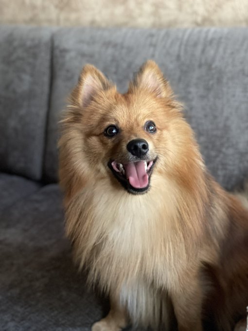 Feliz primer a&ntilde;o amorcito 🤍, amo ser tu mam&aacute; ✨ https://t.co/j1TFJGOSUj