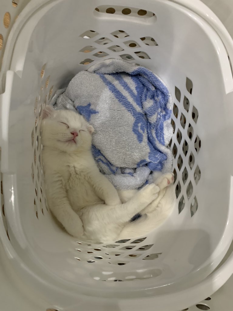 แงน่ารักอ่ะ เหมือนหมีน้อย