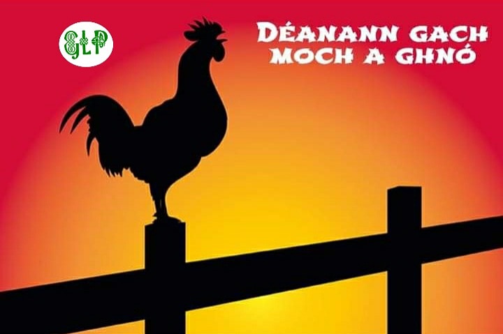 GaeilgeP's tweet photo. Déanann gach moch a ghnó #moch #luath #coileach #maidin #codladh #éirí #dúisiú #seanfhocal #gaeilge #gaeilgelepád #glp https://t.co/0PqJi1b1UY