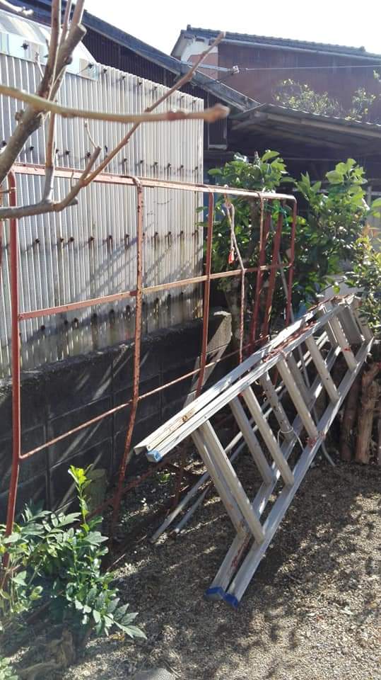 思えば半年前は余計なものがぎょうさんあったなぁ…。見よう見まねで土耕して、種や苗を植えて何となく家庭菜園ぽくなってきました。もう少し広い畑で協生農法による農園🌟💚できたら最高です。
#家庭菜園初心者