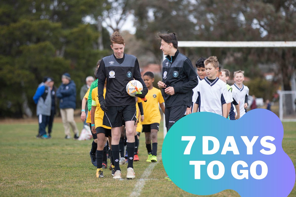 ONE WEEK TO GO! | 🚨🚨

Only just seven days to go till we kick things off! Don't miss out on our live Facebook Q&amp;A tomorrow night starting at 6pm. Send your questions through the link below!
➡ kangacup.com/facebook-live-…