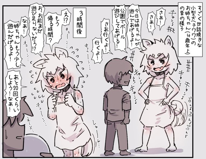 すごく世話焼きな小型犬(チワワ)のお姉ちゃんと一緒に育つ話。 