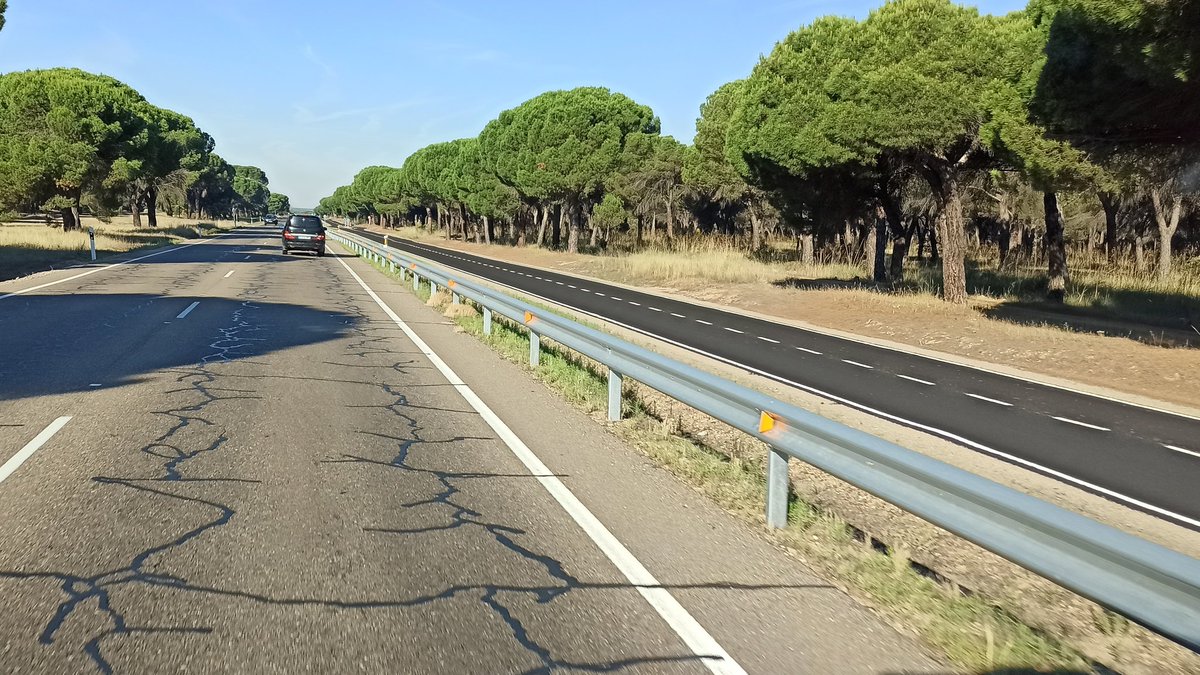 bici_javier tweet picture