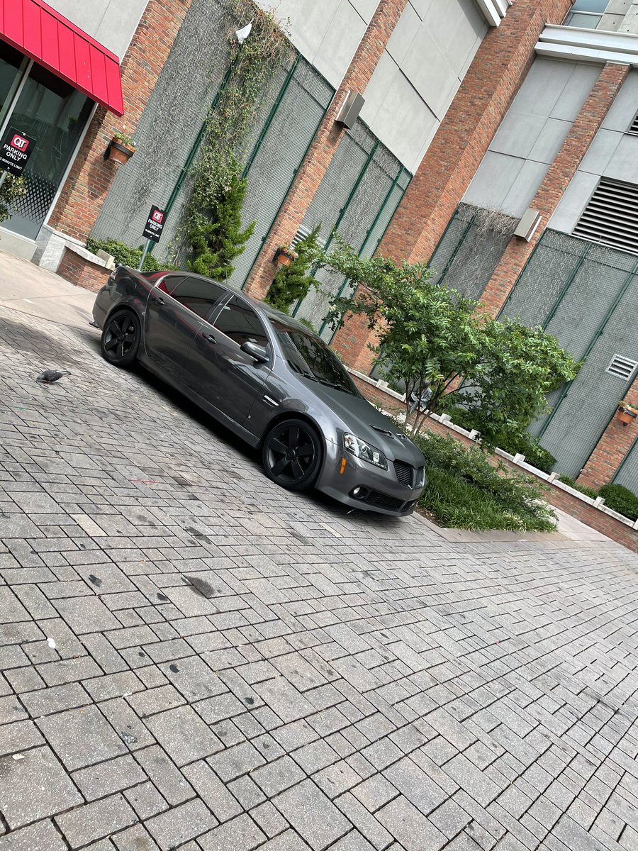 GrahamKnigil's tweet photo. 😈 #g8 #lsx https://t.co/lSutcf3BiR