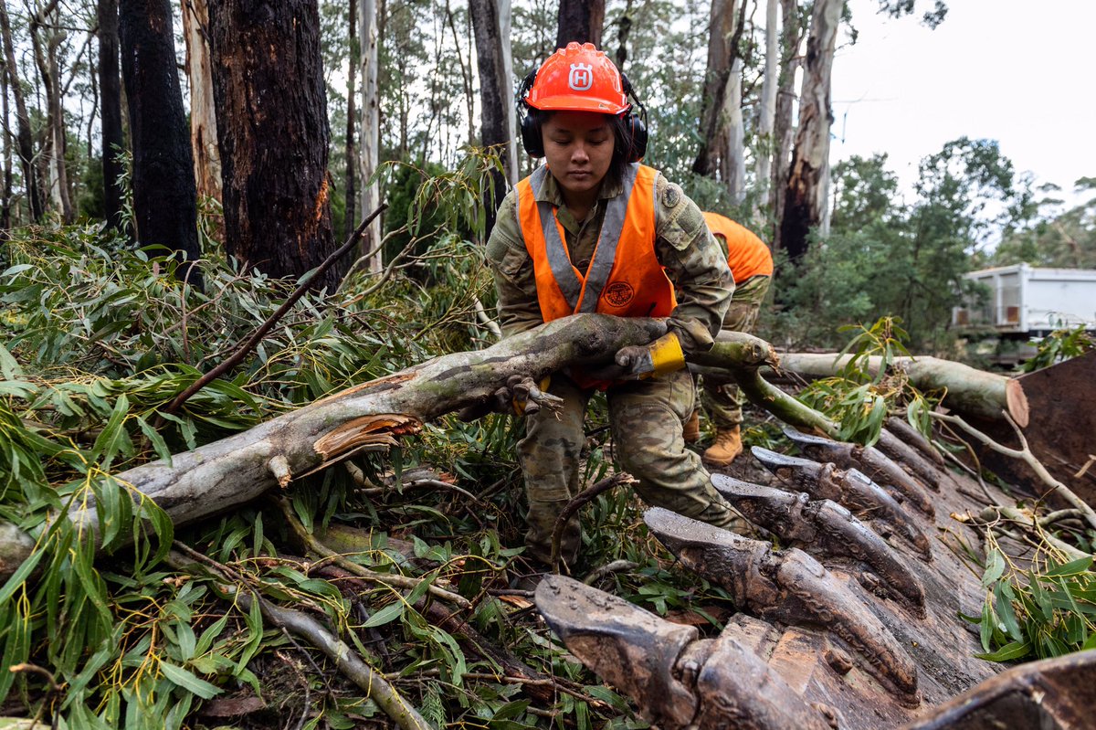 DefenceAust's tweet image. Assisting one step at a time! 👏

An #AusArmy Earthmover is used near the township of Korweinguboora to move cut branches of fallen trees. 🚚💪

#YourADF #VicStorms