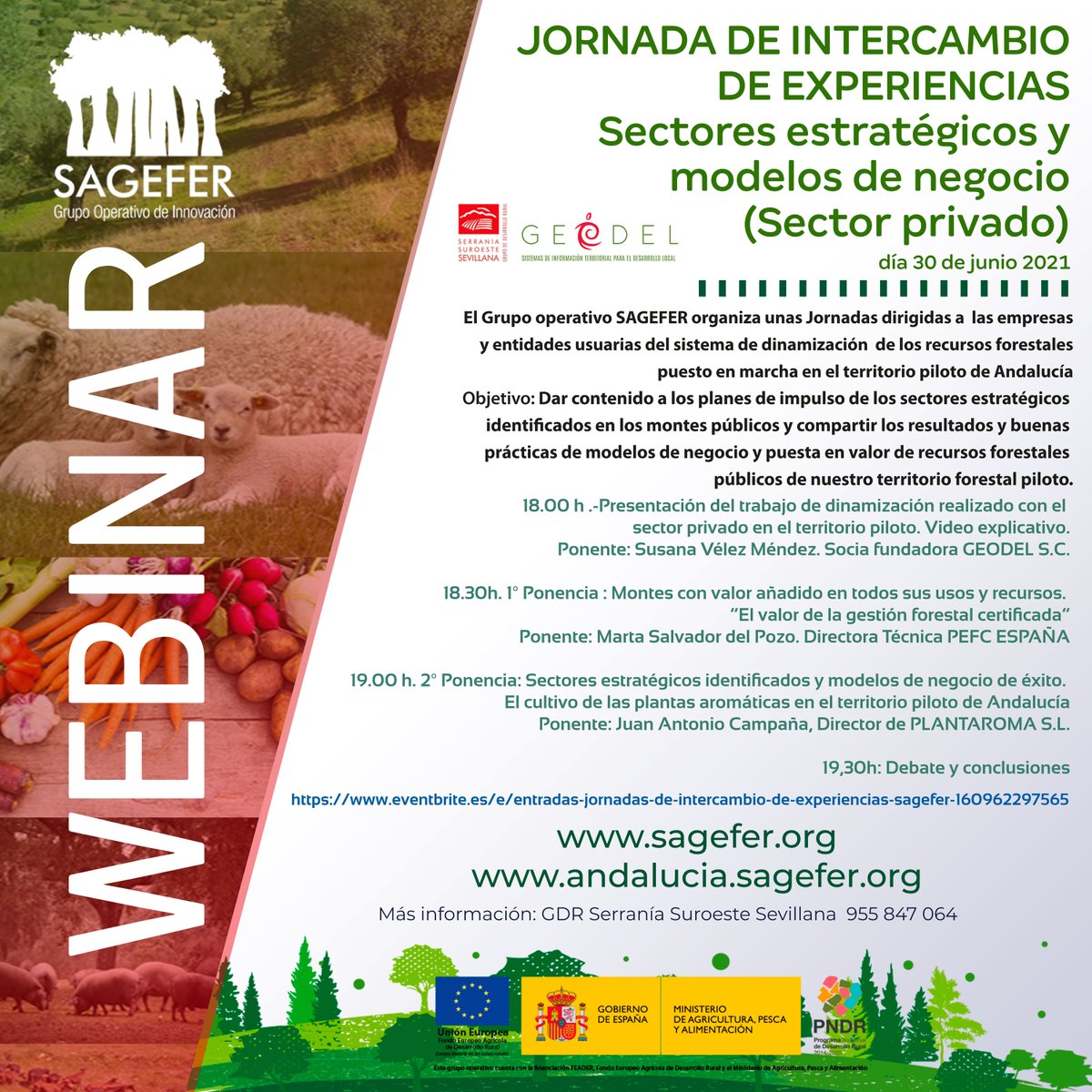 SAGEFER1's tweet photo. 👌Apunta en la agenda:

➡️El día 30 celebramos un #Webinar sobre sectores y modelos de negocio en el medio #forestal, con compañeros y compañeras de @PEFCSpain y Geodel con la experiencia de #SAGEFER en Andalucía.

⌚️Será a las 18 horas
👉Apúntate aquí: https://t.co/VBdJM3Eyvw https://t.co/fWLQlPEMBp