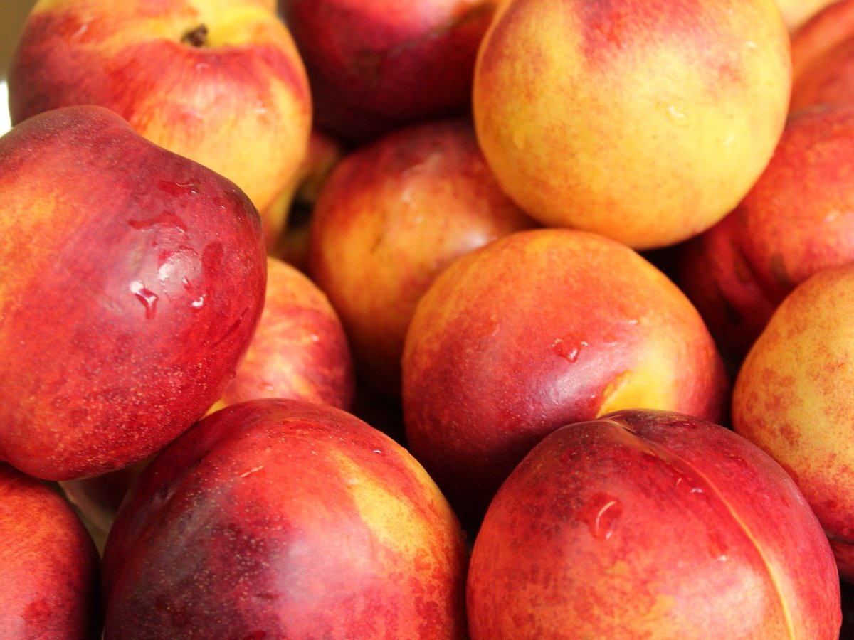 Предприятие «СОЛА» заложило 20 га нектаринового сада в Ставропольском крае. Компания реализует проект создания сада интенсивного типа с системой капельного орошения площадью 40 га

Подробнее: is.gd/YZFTM9