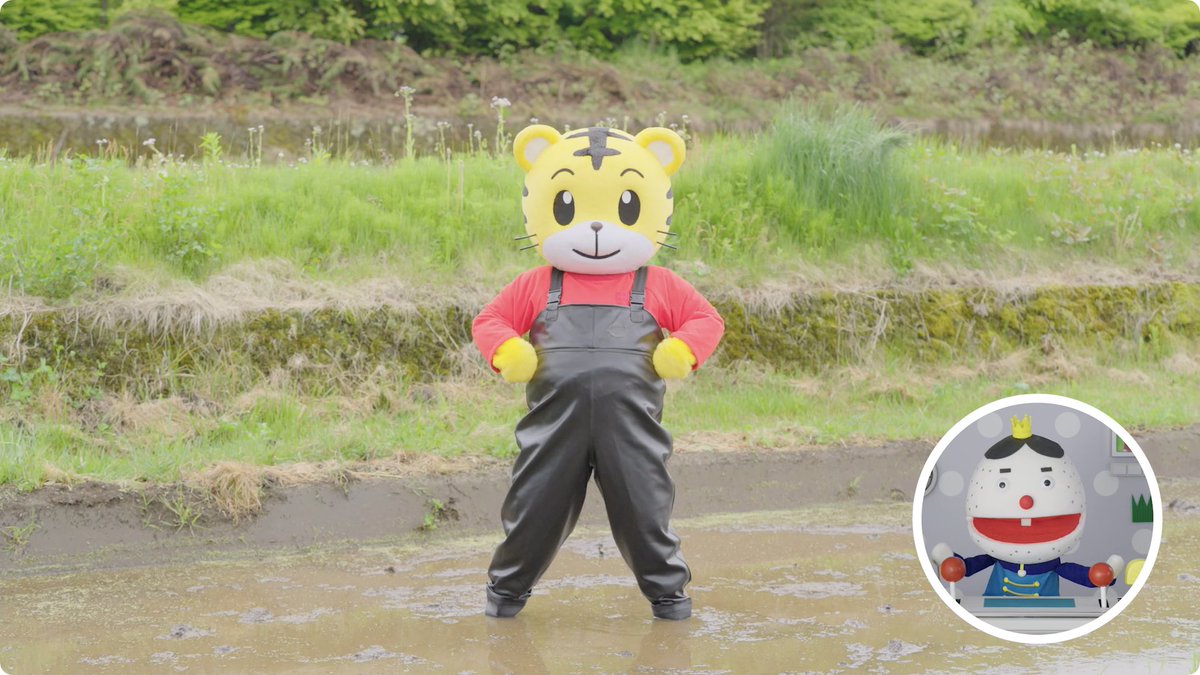 しまじろうのわお 番組スタッフ Shimawowstaff Twitter