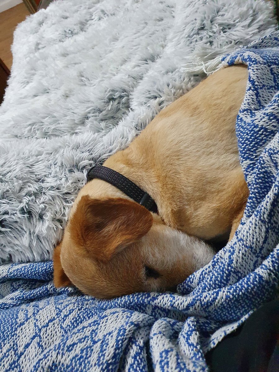 Jackie Blue tweet media