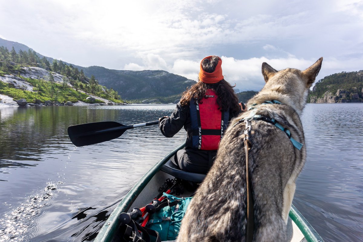 MagNorthTravel's tweet photo. This is Molli, Hilde's companion at work and home. Today we're celebrating the dogs that make our tours so memorable #TakeYourDogToWorkDay https://t.co/NWvHNKj4hV