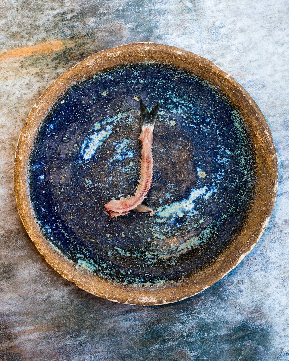 Dan Shearman tweet media