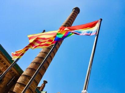 #INDEPENDÈNCIA els arbres ens tapaven el bosc que volem #RepúblicaCatalana