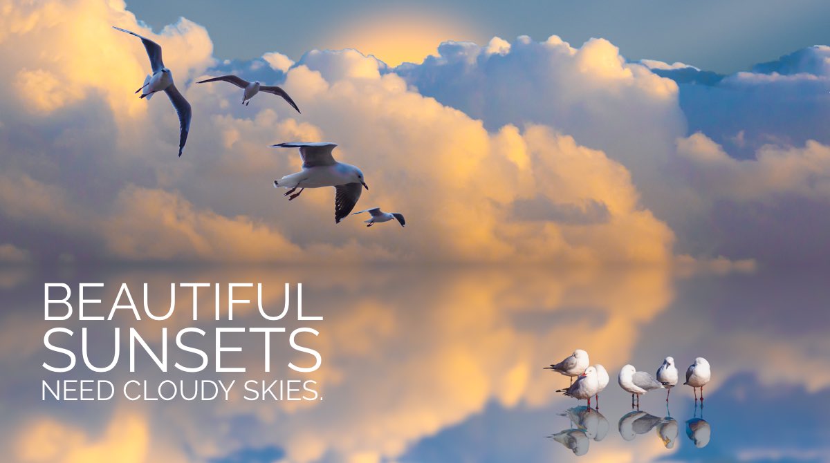 stillsbyjoe's tweet image. SEAGULL SUNSET rdbl.co/3gYg9na 
#sunset #storm