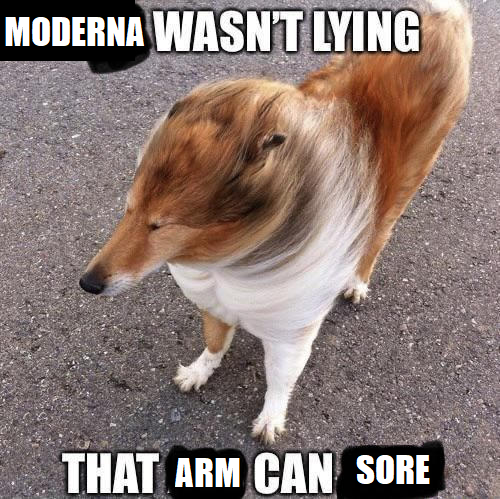 Extrope_'s tweet image. me the last 2 days