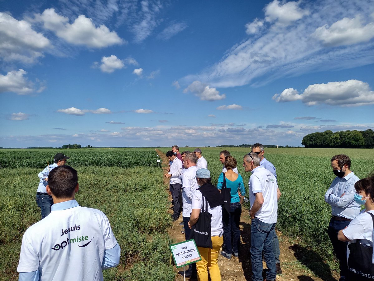 noriapcoop's tweet photo. Visites des essais #protéagineux @ServtecPvNORIA pour les acteurs du groupe de travail dédié à la construction filière alimentation animale ss soja d'importation avec @lidlfrance @Earthworm_Fr @Innova_Feed #Novial.
@Cultivarlemag @CircuitsCulture @AAPicarde @FlorenPhil @Dami1F https://t.co/UlOPNLEgsT