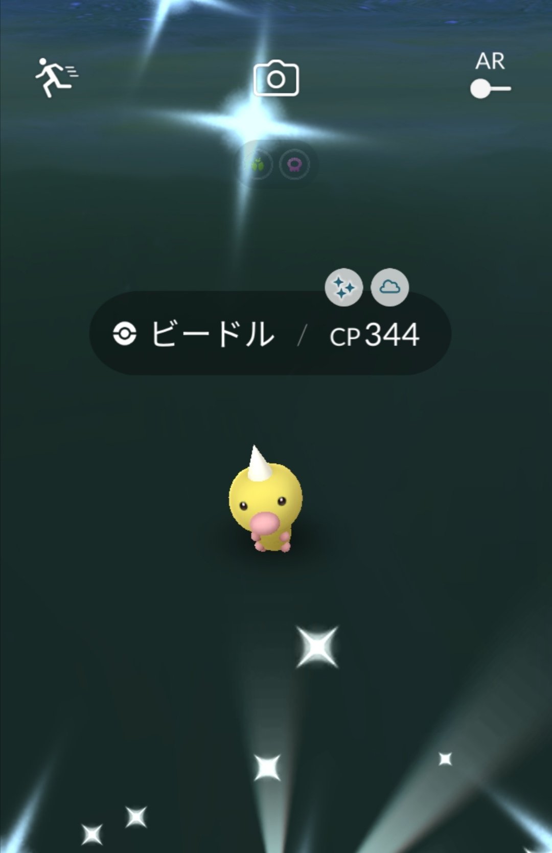 ピーナッツ キラーン 色違いビードル そして 色違いピッピ 来てくれてありがとう O ステキな出会いに感謝です 色違いに会うのが久しぶりなのに 2匹も良いのでしょうか ピッピは はじめまして なので 喜びも大きいです