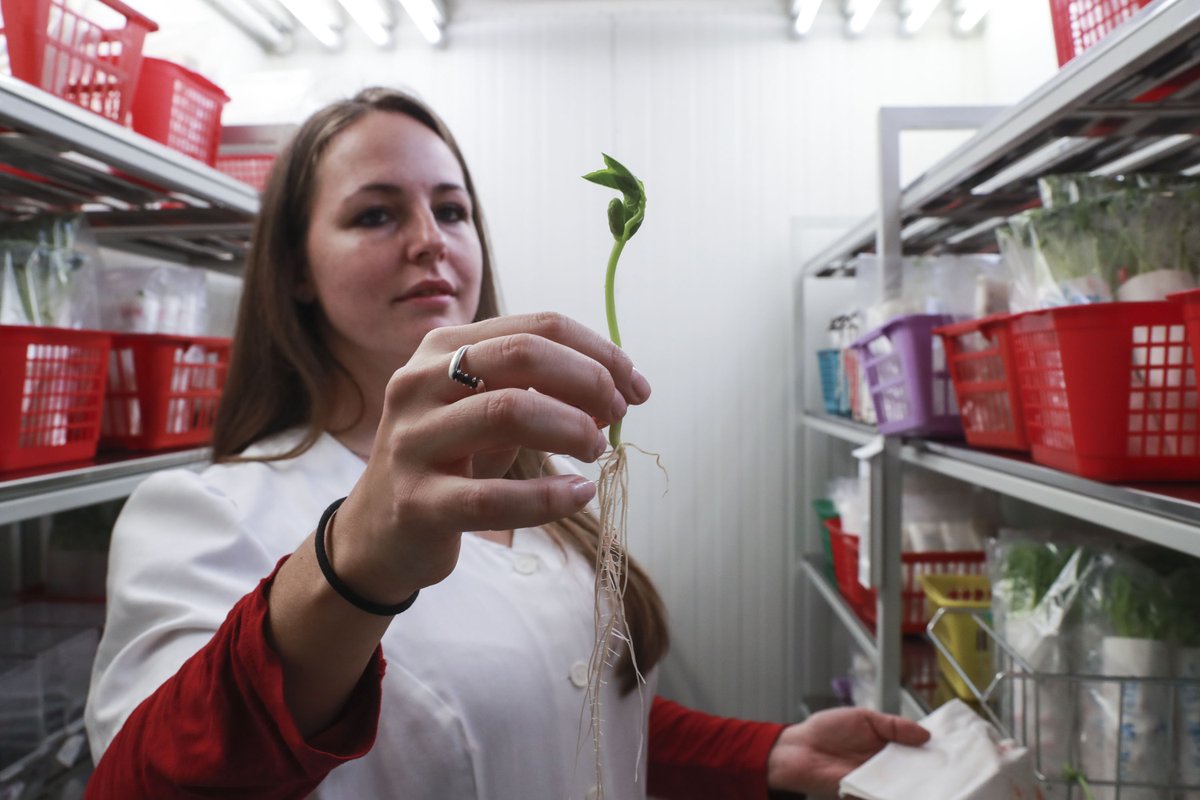 FAO Brussels tweet media