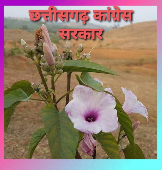 DevjiBhaiPatel_'s tweet photo. छत्तीसगढ़ मे पिछले 2 वर्षों से #14580_शिक्षक_भर्ती से जुड़े 14580 परिवार को लगातार मानसिक प्रताड़ित किया जा रहा है!

राष्ट्रीय मीडिया पर #शिक्षक_भर्ती पर सार्वजनिक झूठ बोलने वाले @bhupeshbaghel और @INCChhattisgarh को मेरी ओर से छोटी सी भेंट!

@shivprakashbjp @PurandeswariBJP https://t.co/QV4Vczf2QG