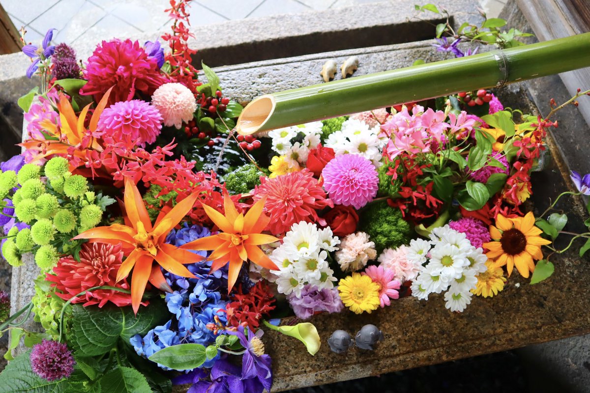 uradoremi2's tweet photo. 最高の花手水。
勝林寺はやっぱり凄かった。 https://t.co/ji1nQDvNDZ