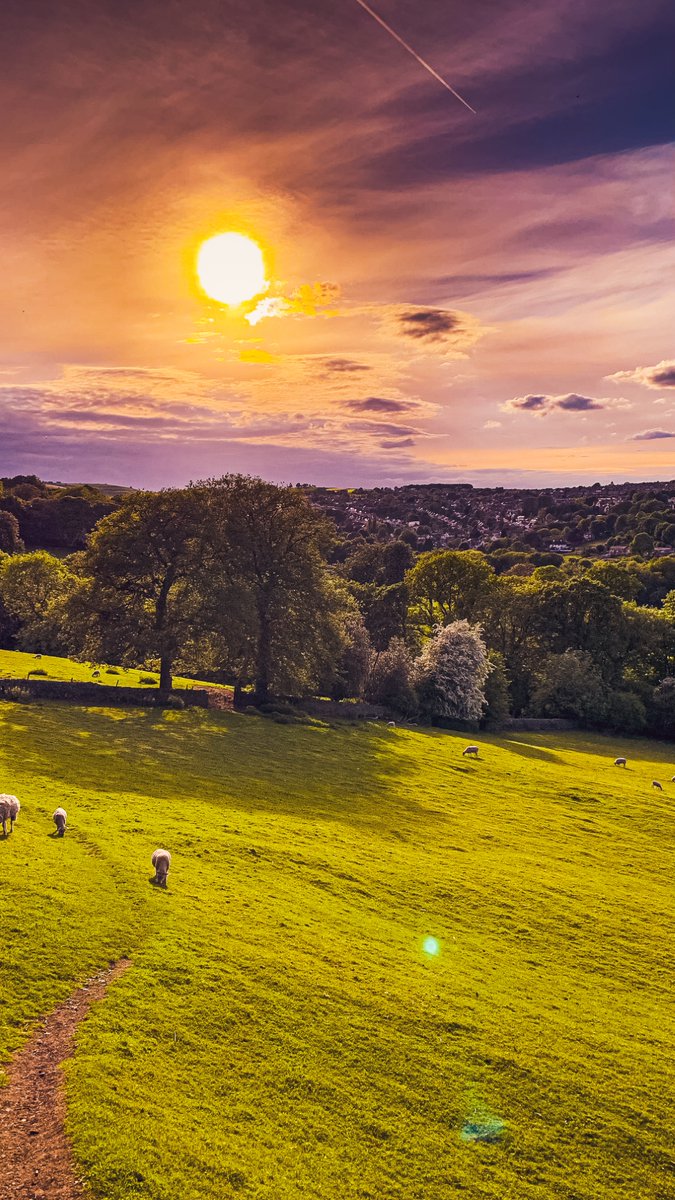 We are overwhelmed with the #Sheffield #snaps today for #PhotoFriday 📸 it will be tough to pick a winner....
