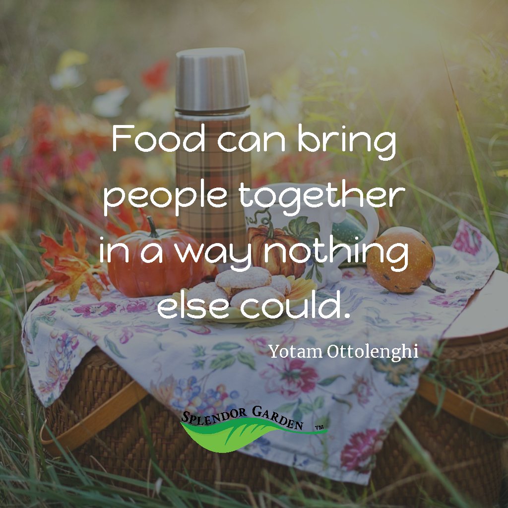 Splendor Garden tweet media