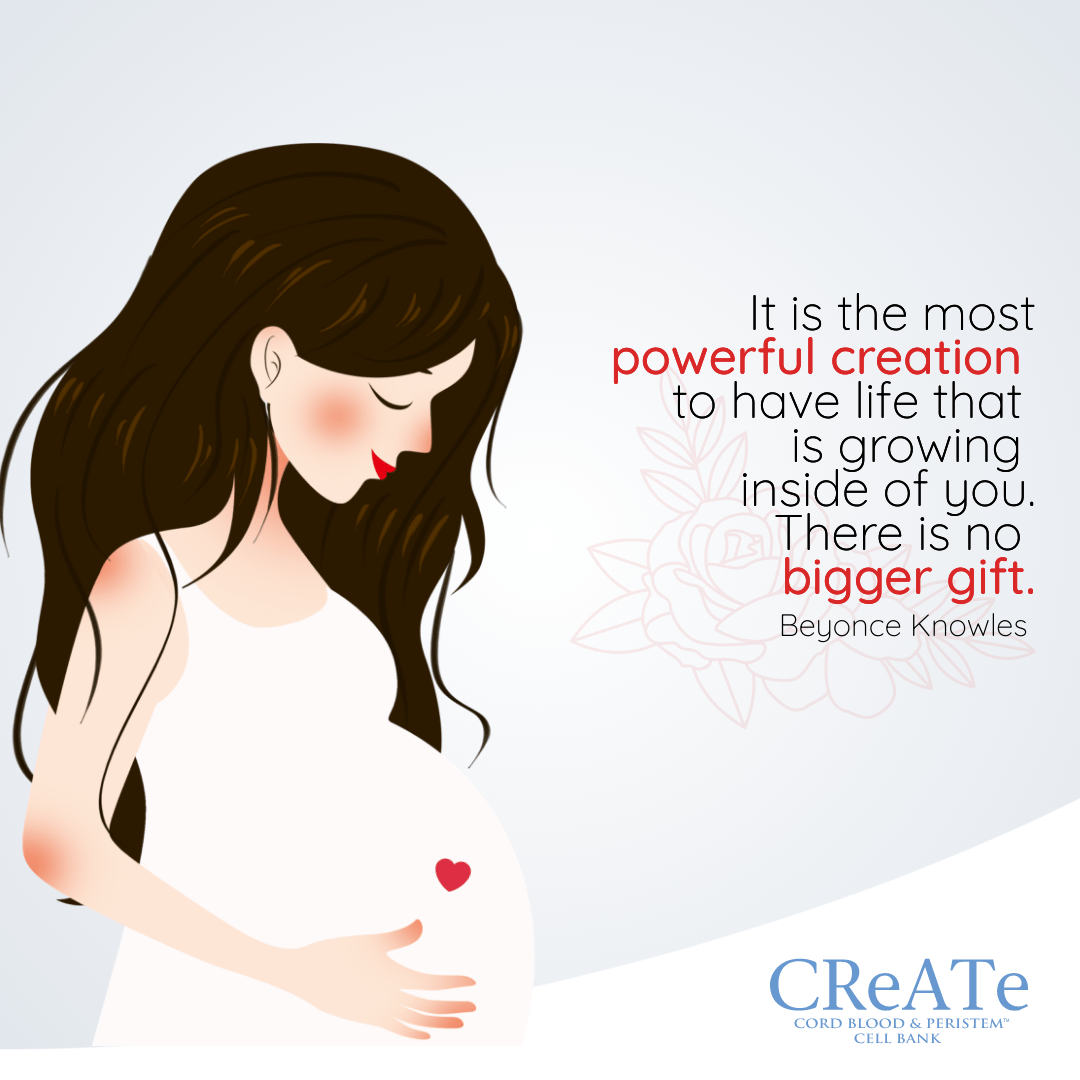 CReATeCordBlood's tweet photo. More than 25,000 patients around the world have received #cordblood #transplants because parents have generously decided to donate their babyβs #umbilical cord blood.
To know more about Cord Blood Banking, get in touch with us :
https://t.co/NpT0U6OLD3
#createconversations https://t.co/oAqUC1X8vg