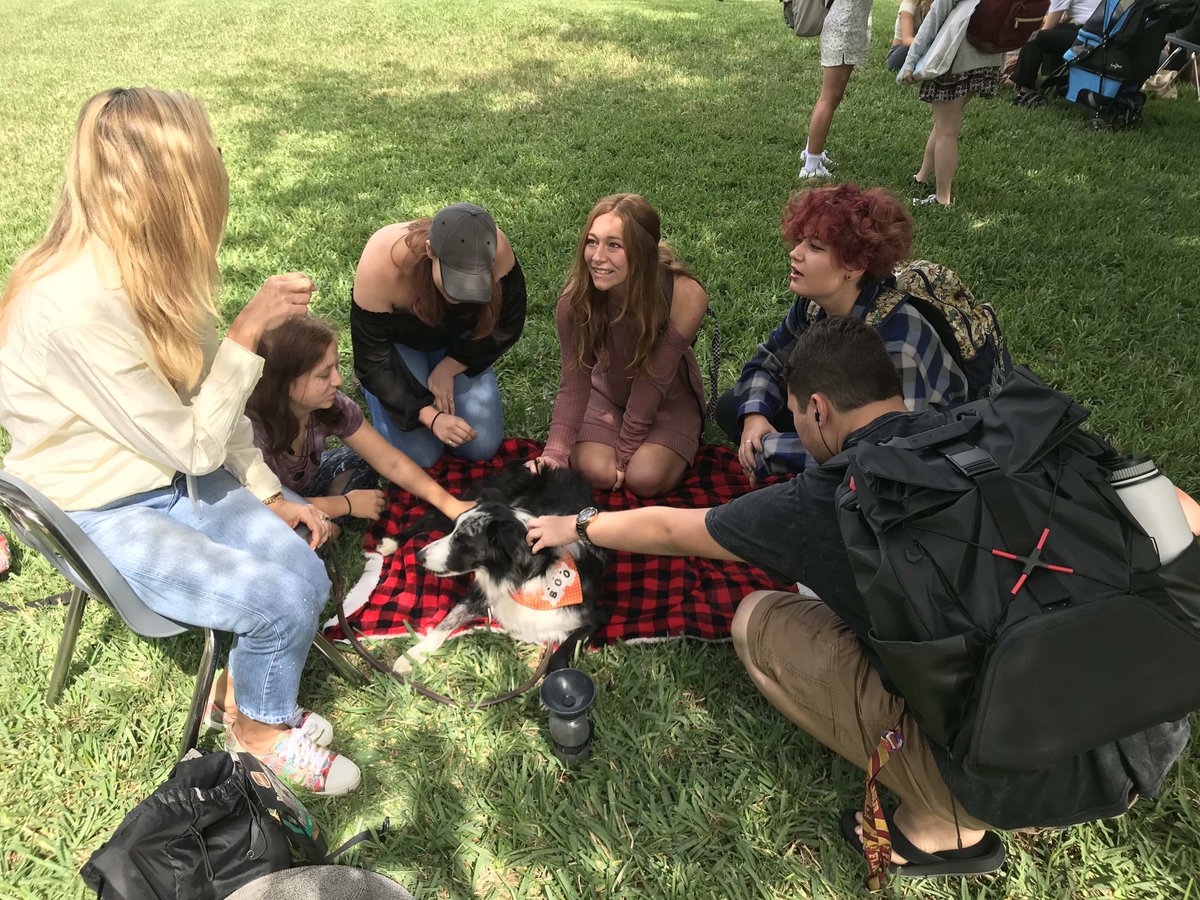 FlaglerCollege's tweet photo. Happy #FlaglerFriday! We miss the days when therapy dogs would come on campus to visit our Saints. But hopefully this fall they'll be back in action! https://t.co/E3m9YSRxJ3